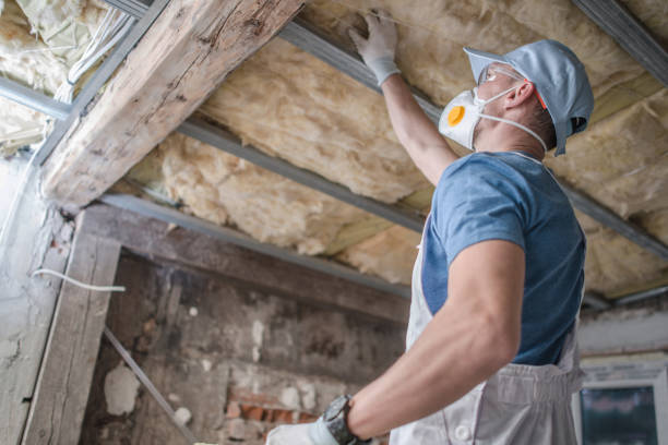 Best Insulation Maintenance and Repair in Elm Creek, TX