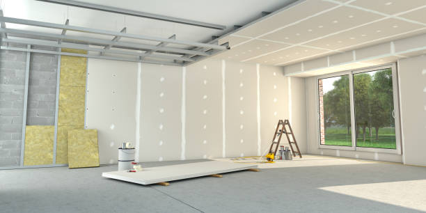 Best Commercial Insulation in Elm Creek, TX