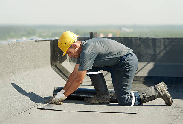 Best Specialty Insulation in Elm Creek, TX